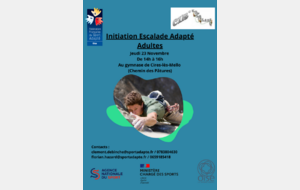 Initiation escalade adultes